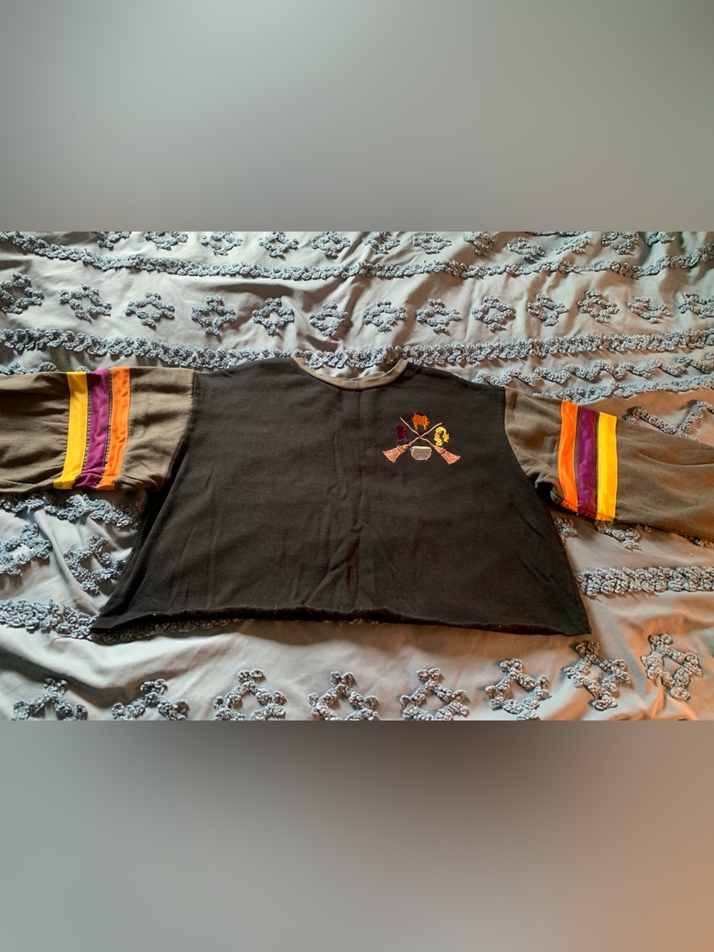 Disney Black Cropped Sweatshirt with Color-Block Sleeve Stripes